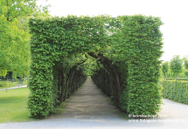 Bayreuth Eremitage - Laubengang1